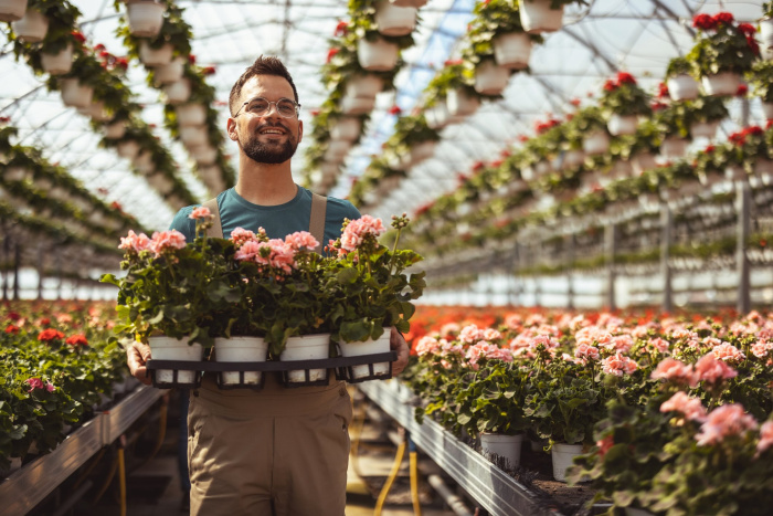 Man carrying flower pots through a greenhouse
