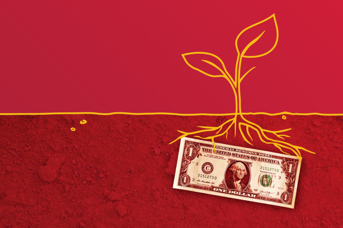 Dollar underneath ground with a plant growing out of it