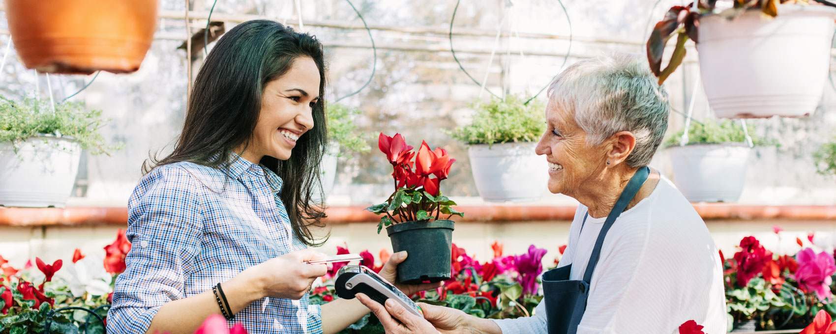 young woman buying plant at flower shop from senior cashier