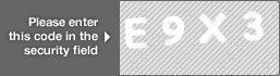 captcha code for visual authentication  letter E number 9 letter X number 3