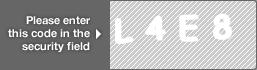 captcha code for visual authentication  letter L number 4 letter E number 8