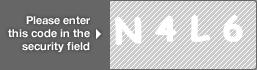 captcha code for visual authentication  letter N number 4 letter L number 6