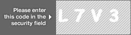 captcha code for visual authentication  letter L number 7 letter V number 3