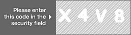 captcha code for visual authentication  letter X number 4 letter V number 8