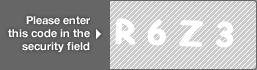 captcha code for visual authentication  letter R number 6 letter Z number 3