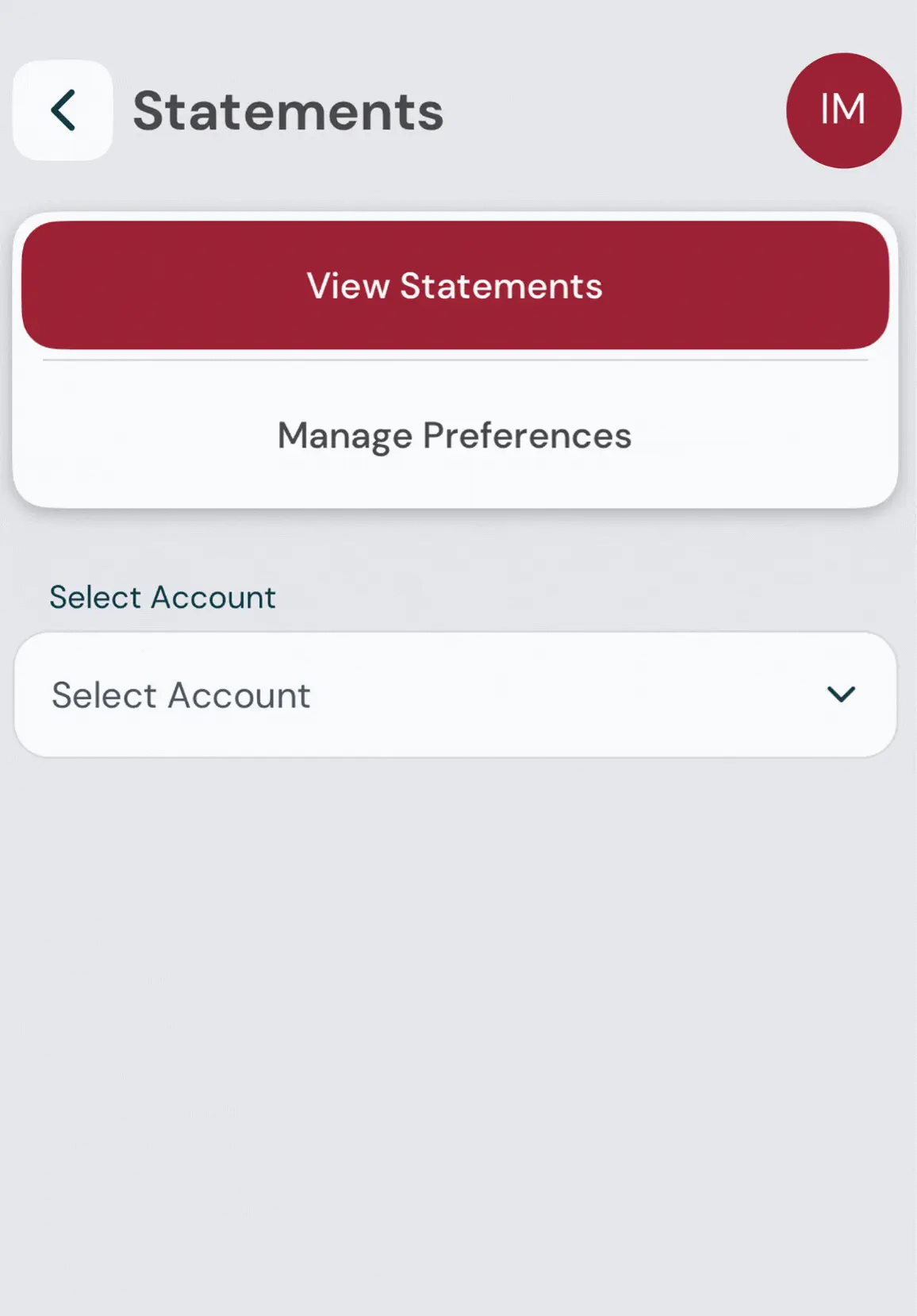 View Statements Screen