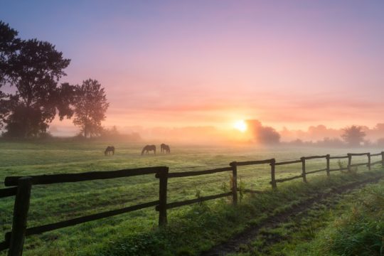 3 Ways to Protect the Earth