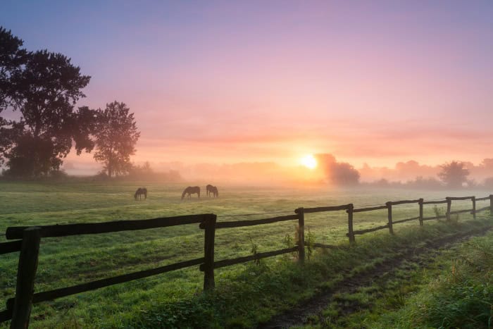 3 Ways to Protect the Earth