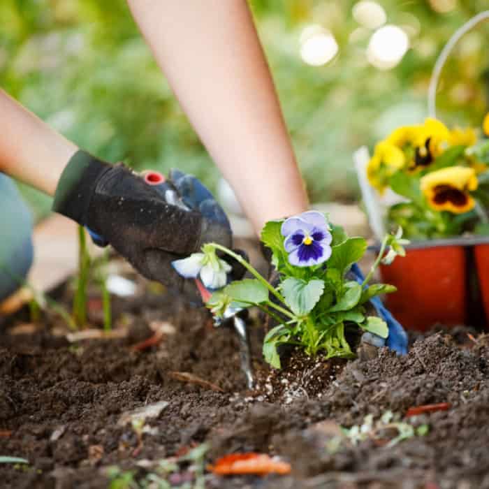 6 Ways to Earn Summer Cash