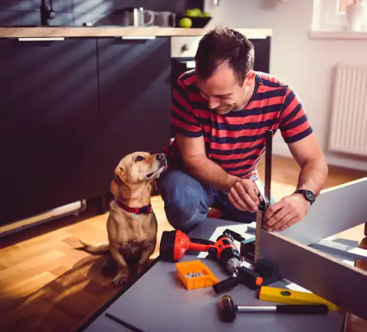 Dog building something while a dog looks up at him