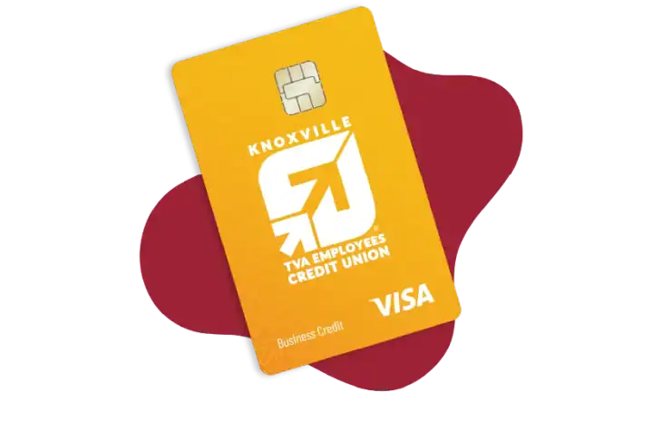 Visa Business Credit Card Special