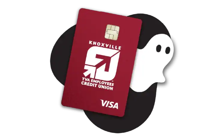 Visa Platinum Credit Card Special