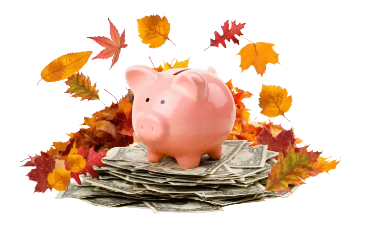 Fall into savings