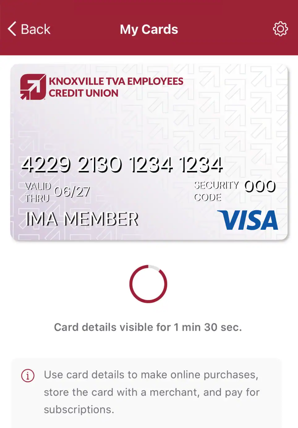 Card Controls screen with an example of the full card details being displayed