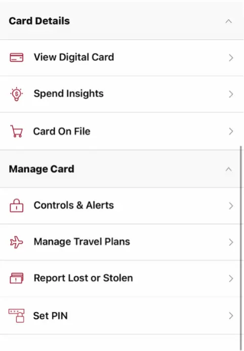Card Controls screen with a circle around Set PIN